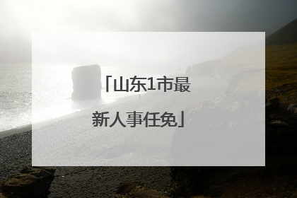 山东1市最新人事任免