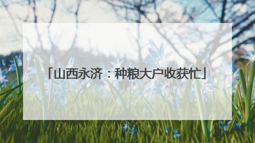 山西永济：种粮大户收获忙