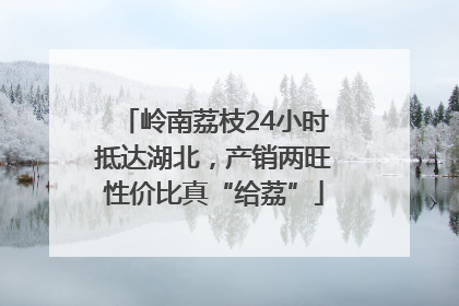 岭南荔枝24小时抵达湖北，产销两旺性价比真“给荔”