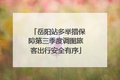 岳阳站多举措保障第三季度调图旅客出行安全有序