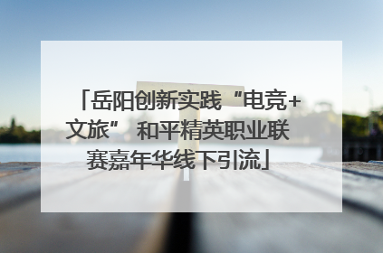 岳阳创新实践“电竞+文旅” 和平精英职业联赛嘉年华线下引流