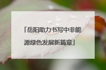 岳阳助力书写中非能源绿色发展新篇章
