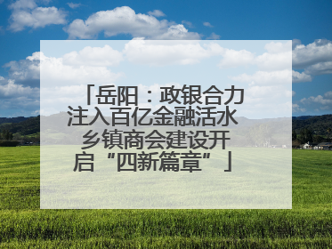 岳阳：政银合力注入百亿金融活水 乡镇商会建设开启“四新篇章”