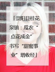 崇阳县桂花泉镇：瓜农“点花成金” 书写“甜蜜事业”增收经