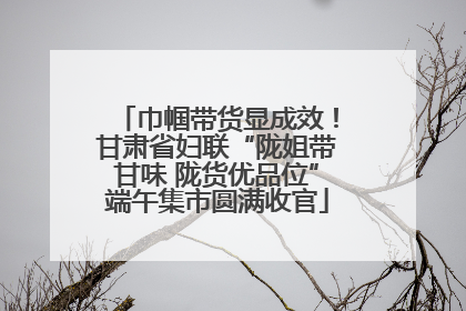 巾帼带货显成效！甘肃省妇联“陇姐带甘味 陇货优品位”端午集市圆满收官