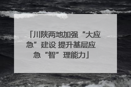 川陕两地加强“大应急”建设 提升基层应急“智”理能力