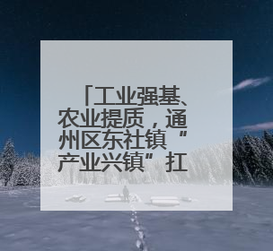 工业强基、农业提质，通州区东社镇“产业兴镇”扛担当