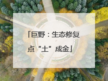 巨野：生态修复点“土”成金