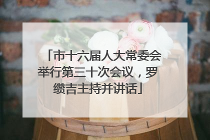 市十六届人大常委会举行第三十次会议，罗缵吉主持并讲话