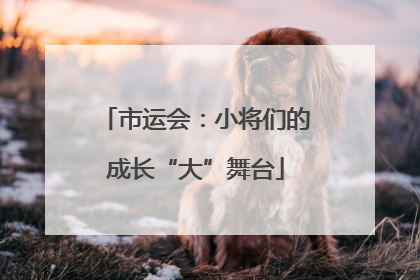 市运会：小将们的成长“大”舞台
