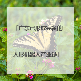 广东已形成完备的人形机器人产业链