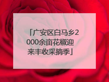广安区白马乡2000余亩花椒迎来丰收采摘季