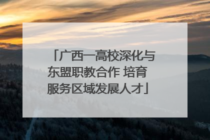 广西一高校深化与东盟职教合作 培育服务区域发展人才