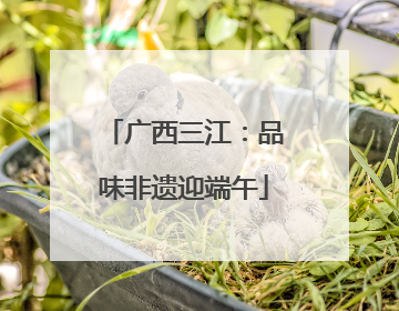 广西三江：品味非遗迎端午