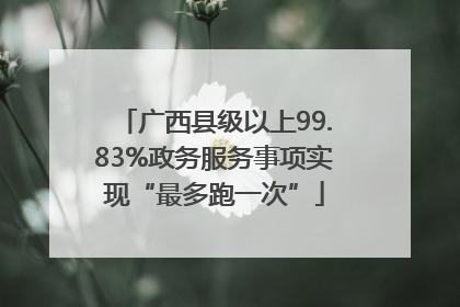 广西县级以上99.83%政务服务事项实现“最多跑一次”