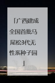 广西建成全国首批马尾松3代无性系种子园
