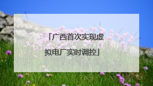 广西首次实现虚拟电厂实时调控