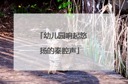 幼儿园响起悠扬的秦腔声