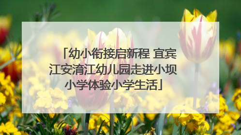 幼小衔接启新程 宜宾江安淯江幼儿园走进小坝小学体验小学生活