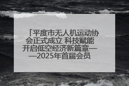 平度市无人机运动协会正式成立 科技赋能开启低空经济新篇章——2025年首届会员大会暨无人机应用发展论坛成功举办