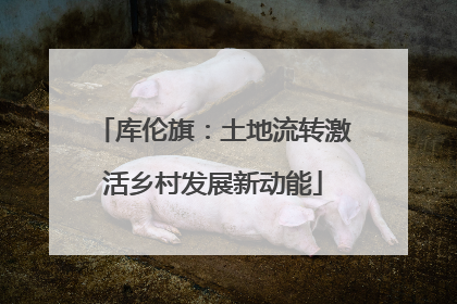 库伦旗：土地流转激活乡村发展新动能