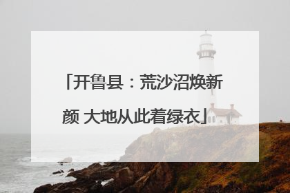 开鲁县：荒沙沼焕新颜 大地从此着绿衣