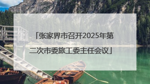 张家界市召开2025年第二次市委旅工委主任会议