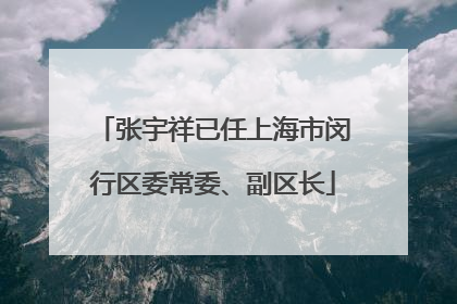 张宇祥已任上海市闵行区委常委、副区长