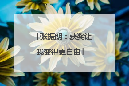 张振朗：获奖让我变得更自由