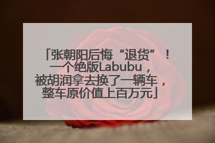 张朝阳后悔“退货”！一个绝版Labubu，被胡润拿去换了一辆车，整车原价值上百万元