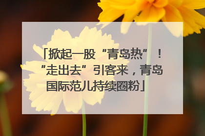 掀起一股“青岛热”！“走出去”引客来，青岛国际范儿持续圈粉