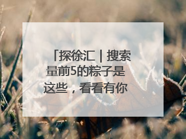探徐汇｜搜索量前5的粽子是这些，看看有你爱吃的吗？