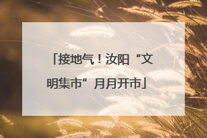 接地气！汝阳“文明集市”月月开市