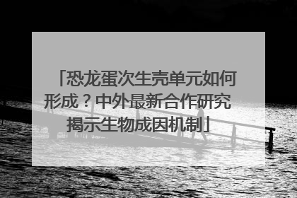 恐龙蛋次生壳单元如何形成？中外最新合作研究揭示生物成因机制