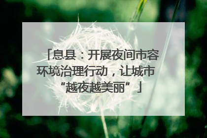 息县：开展夜间市容环境治理行动，让城市 “越夜越美丽”