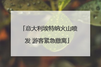 意大利埃特纳火山喷发 游客紧急撤离