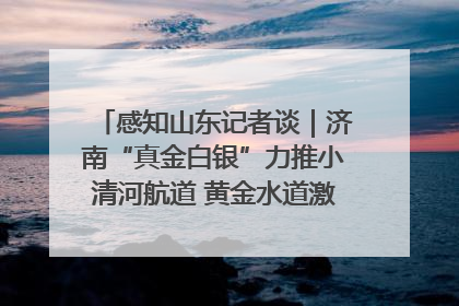 感知山东记者谈｜济南“真金白银”力推小清河航道 黄金水道激活区域经济新动能