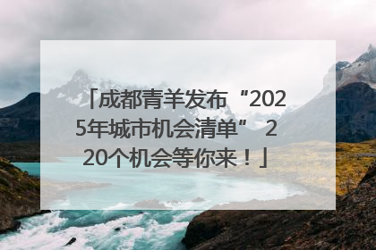 成都青羊发布“2025年城市机会清单” 220个机会等你来！