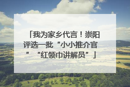 我为家乡代言！崇阳评选一批“小小推介官”“红领巾讲解员”