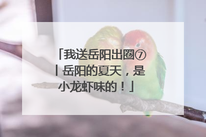 我送岳阳出圈⑦丨岳阳的夏天，是小龙虾味的！