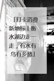 打卡消费新地标丨衡水湖边走一走，有水有鸟有乡愁