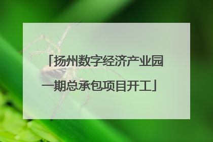 扬州数字经济产业园一期总承包项目开工