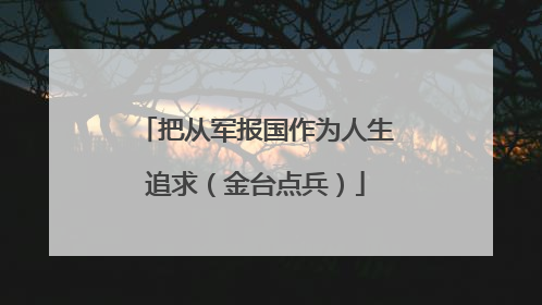 把从军报国作为人生追求（金台点兵）