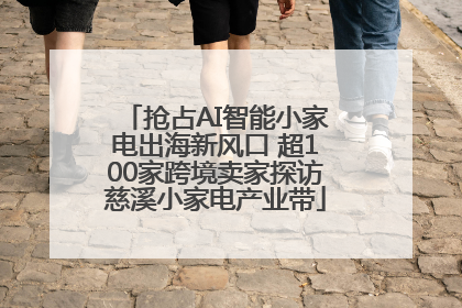 抢占AI智能小家电出海新风口 超100家跨境卖家探访慈溪小家电产业带