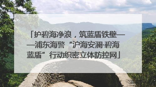 护碧海净浪，筑蓝盾铁壁——浦东海警“沪海安澜·碧海蓝盾”行动织密立体防控网