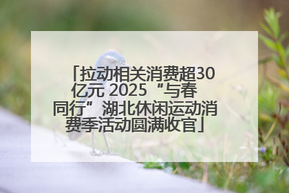 拉动相关消费超30亿元 2025“与春同行”湖北休闲运动消费季活动圆满收官
