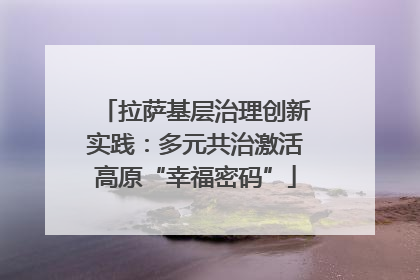 拉萨基层治理创新实践：多元共治激活高原“幸福密码”