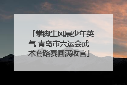 拳脚生风展少年英气 青岛市六运会武术套路赛圆满收官