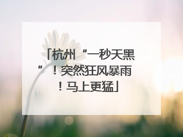 杭州“一秒天黑”！突然狂风暴雨！马上更猛