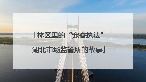林区里的“宠客执法”｜湖北市场监管所的故事